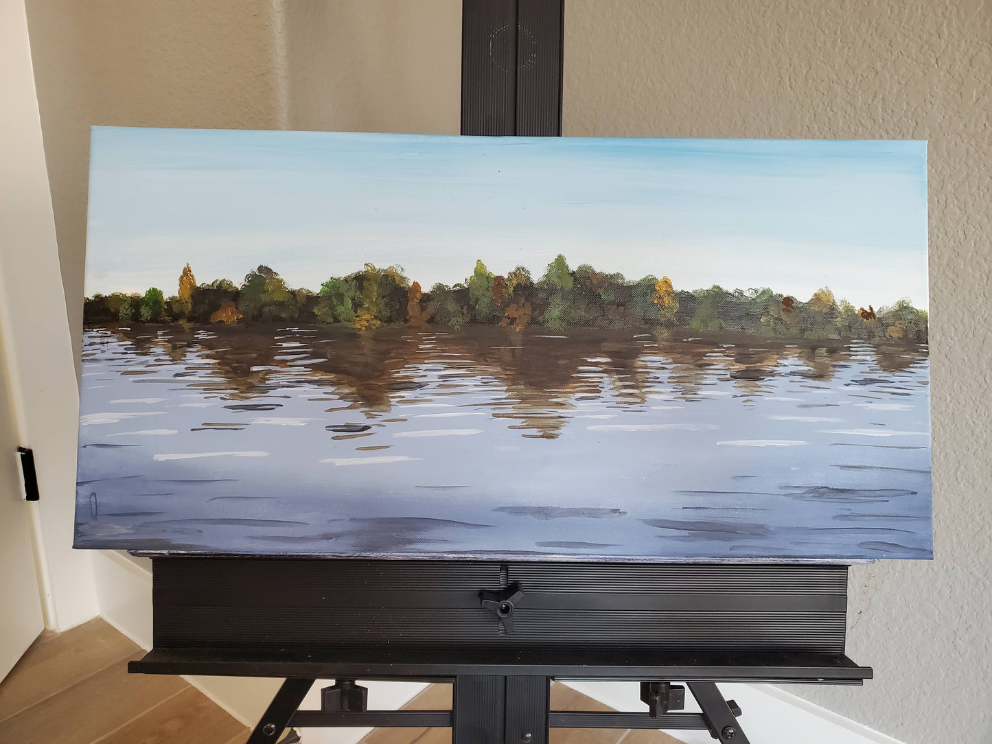 Town Lake (Austin) - Original 12x24in. Acrylic Painting