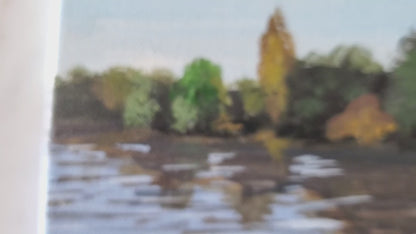 Town Lake (Austin) - Original 12x24in. Acrylic Painting